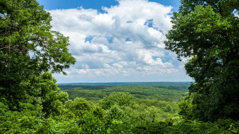 Indiana's Charming Lodge Nestled in the Scenic Brown County State Park Features an Indoor Waterpark and Rustic Appeal