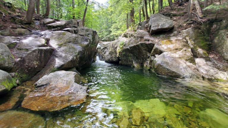 Discover Maine's Most Vibrant Pool Hidden Along a Forested Waterfall Trail for a Majestic Emerald Water Experience