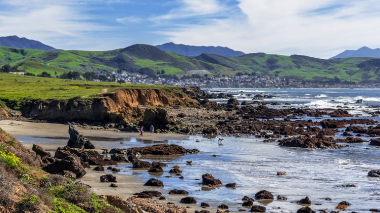 Discover the Hidden Gem of Central California's Coast: A Scenic State Park Teeming with Wildlife