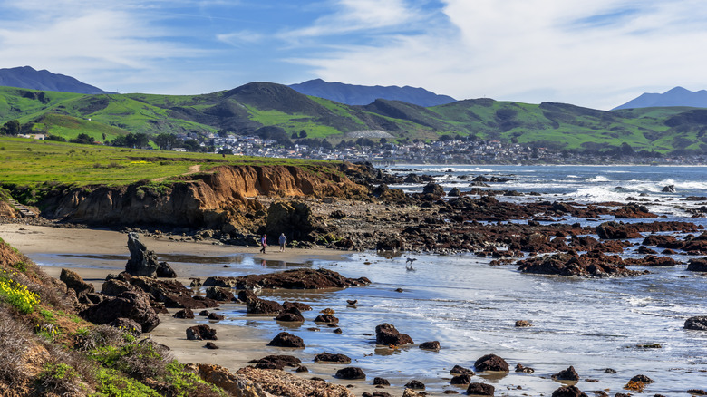Discover the Hidden Gem of Central California's Coast: A Scenic State Park Teeming with Wildlife