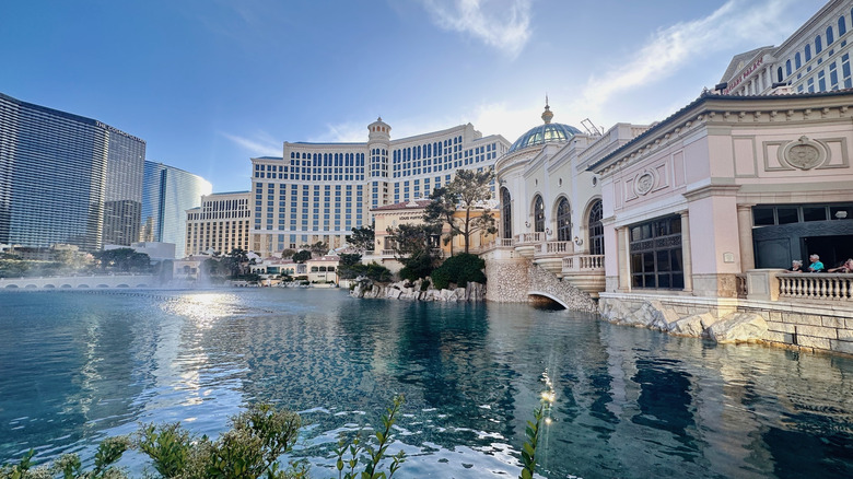 America's Premier Summer Destination Heats Up with World-Class Cuisine, Stunning Views, and Spectacular Shows