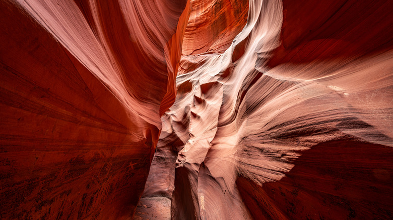 Discover Arizona's Stunning Hidden Canyon Near Antelope: A Tranquil Gem with Surreal Views