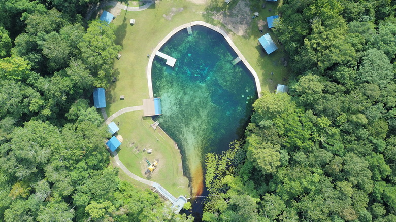 Tucked Away in Rural Florida: A Relaxed, Spring-Fed Escape with Small-Town Charm and Sunshine