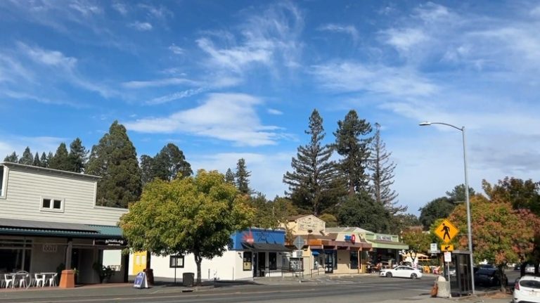 California's Small Town Nestled in the Redwoods Emerges as an Unexpected Michelin Hotspot with a Thriving Foodie Scene