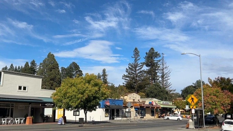 California's Small Town Nestled in the Redwoods Emerges as an Unexpected Michelin Hotspot with a Thriving Foodie Scene