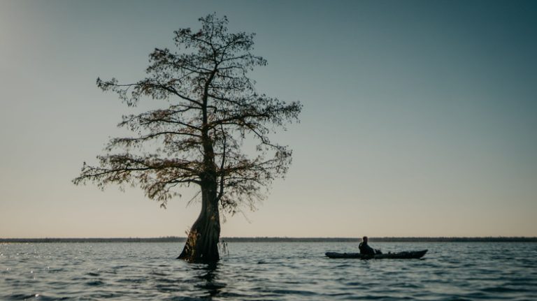 North Carolina's Swampy State Park Offers a Perfect Mix of Scenic Hikes and Relaxing Paddles