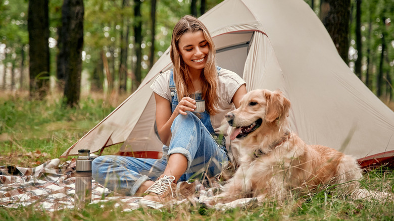 Tips for an Enjoyable July 4th Camping Trip with a Firework-Phobic Dog