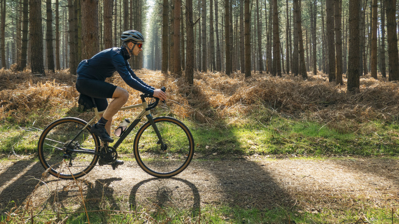 America's Inaugural Rail-Trail Route: A Hiker and Biker Paradise Through Wisconsin's Scenic Forests
