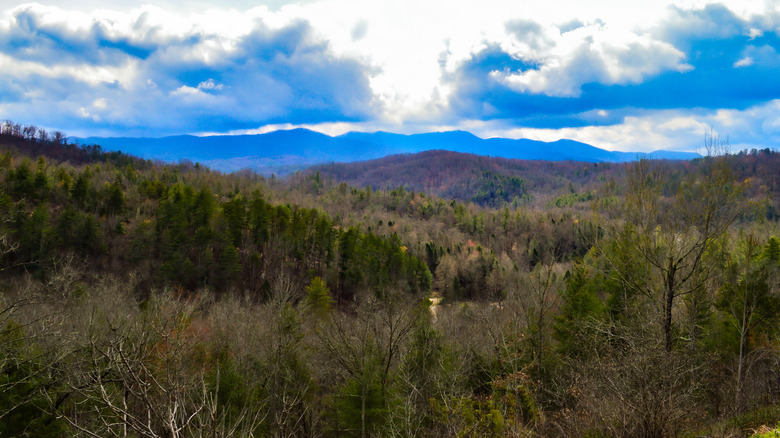 Experience Tennessee's Vibrant Culture and Heritage in This Scenic and Adventurous Artsy Region