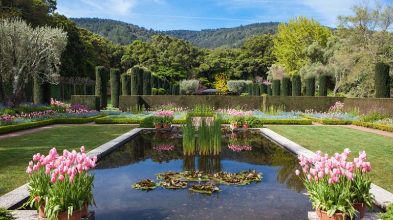 The Bay Area's Top Botanical Garden Near San Francisco: Featuring Fruit Trees, Orchards, and Vibrant Blooms