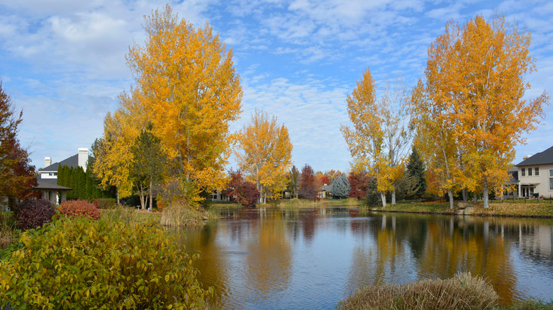 Idaho's Top Living Spot Nestled Between Scenic Foothills and the Boise River with a Charming Downtown