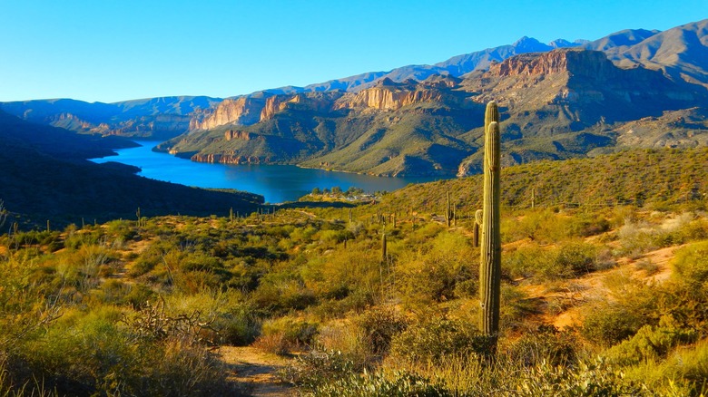 An Unforgettable Journey Through Time: Arizona's Unique Road Trip Near Phoenix