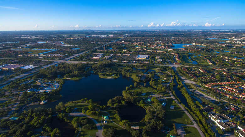 Discover One of Florida's Top Places to Live: An Artistic, All-American Community with Lively Parks