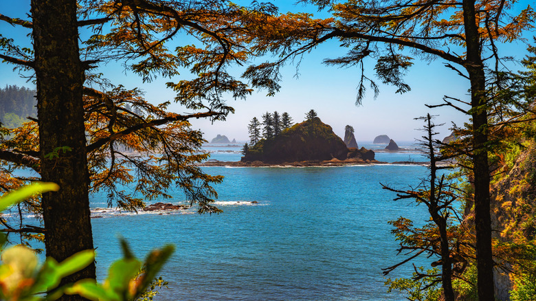 Discover the Thriving Beaches of This Hidden Washington Village in Olympic National Park