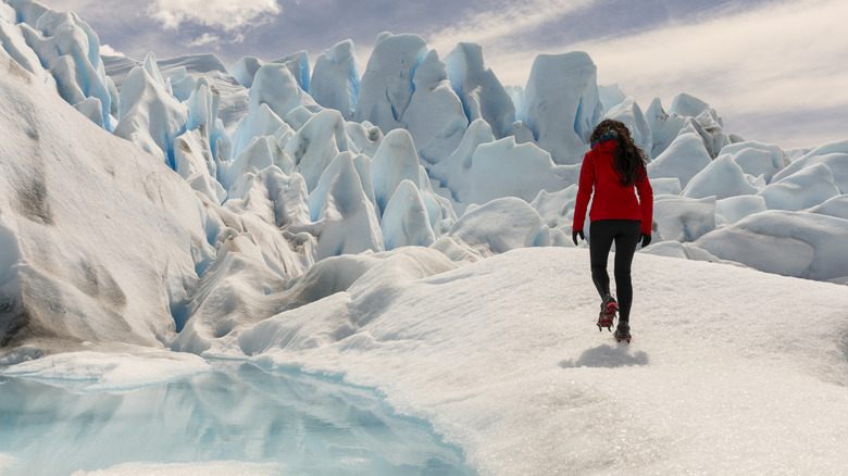 Influencers Persist in Consuming Melted Glacier Water Despite Significant Risks