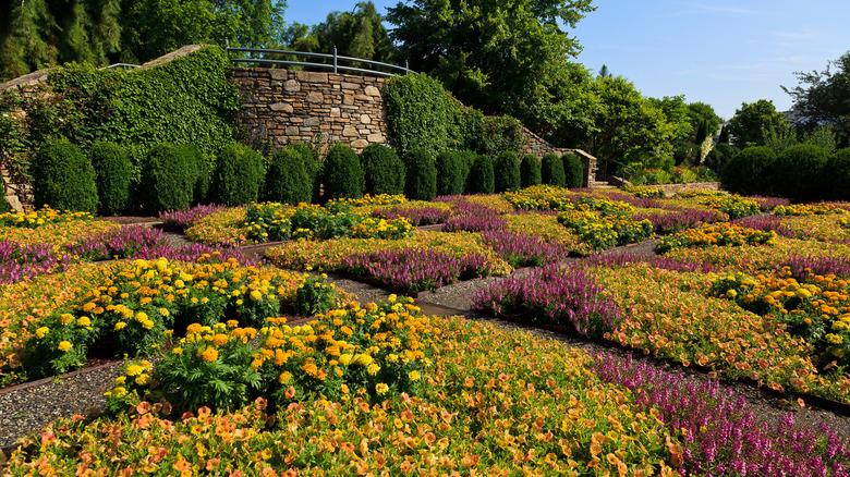 Explore the Expansive, Free Botanical Garden with Groomed Trails in North Carolina's Southern Appalachian Mountains