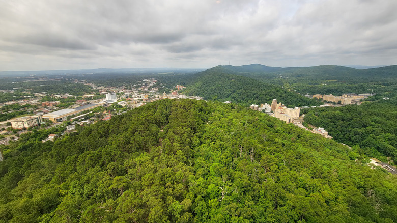 Tucked Away in Hot Springs, Arkansas: Discover a National Forest with Scenic Drives and Stunning Trails