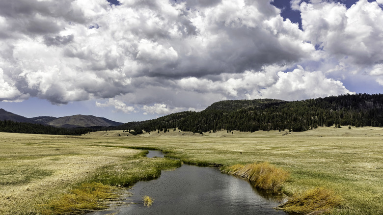 Discover the Hidden Gem: A New Mexico Park on a Dormant Super Volcano Offering Stunning Views