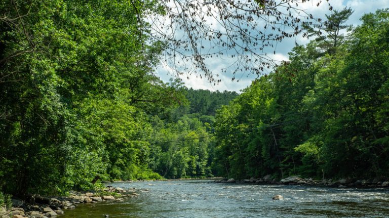 This Charming and Tranquil Connecticut Coastal Village Offers Outstanding Dining Options