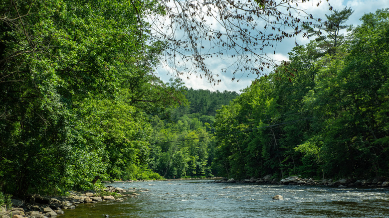This Charming and Tranquil Connecticut Coastal Village Offers Outstanding Dining Options