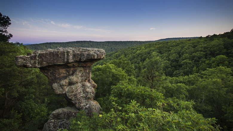 Discover a Perfect Outdoor Escape with Abundant Activities in Arkansas' Hidden Ozarks Scenic Area