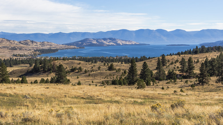 Montana's Emerging Wine Region Thrives Around One of America's Largest Natural Lakes