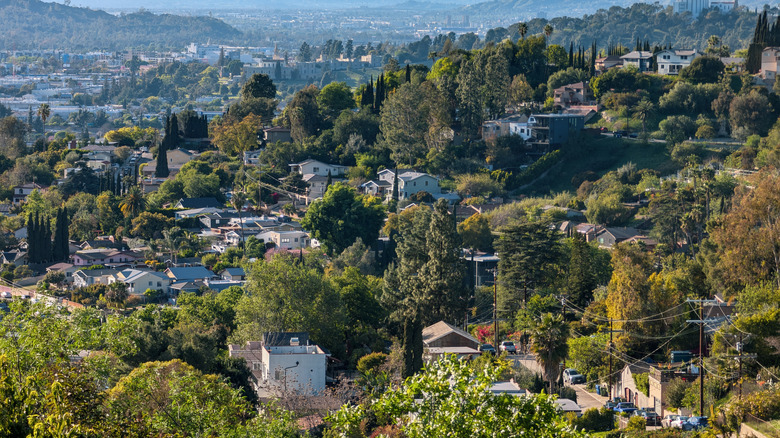 Discover One of Los Angeles' Hidden Gems: A Walkable Neighborhood Brimming with Creative Energy