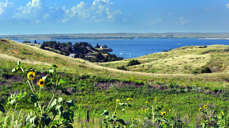 Discover Vibrant Snorkeling and Scuba Diving in This Unexpected Midwestern Landlocked State