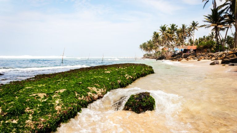 Sri Lanka's Newest Surfing Hotspot: A South Coast Gem with Ideal Reef Breaks and Trendy Dining Options