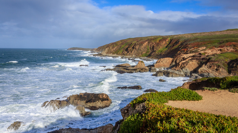 Explore This Charming Fishing Village on California's Sonoma Coast, Featuring Scenic Trails and Fresh Seafood