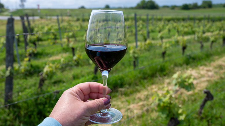 Discover the Hidden Gem of French Wine Regions: Enchanting Medieval Villages and Exquisite Vineyards