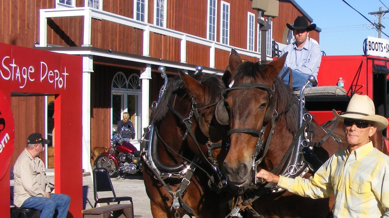 Florida's 'Cowboy Town' Swaps Surfboards for Saddles and Southern Hospitality Amid Stunning Sunsets