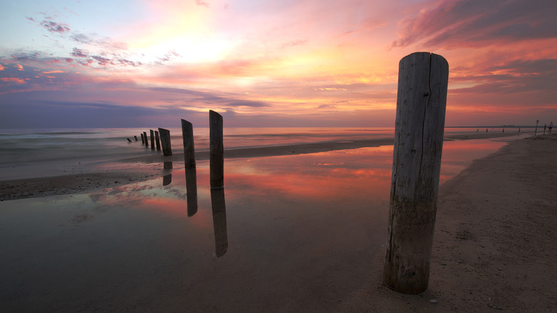 This Section of Lake Huron's Coastline is Ontario's Top Beach Destination for a Lively and Fun-filled Getaway