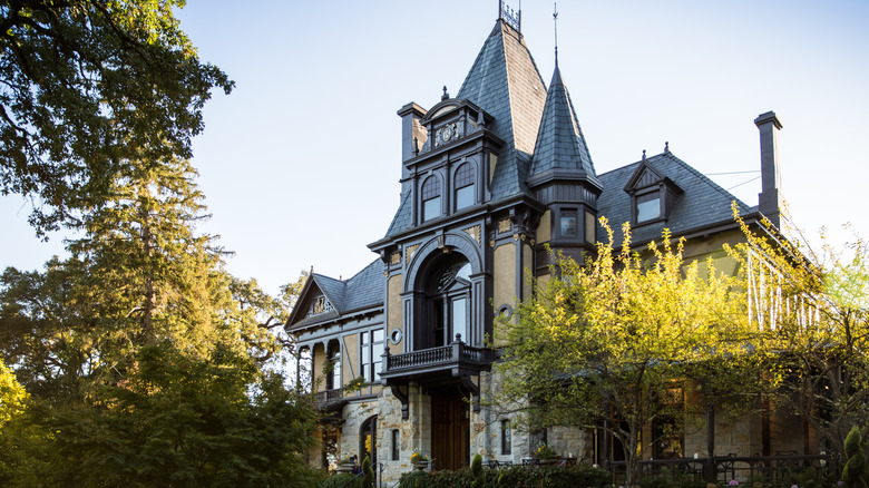 Napa Valley's Heart: A Wine Country City Offering Exquisite Sips, Luxurious Resorts, Art, and Scenic Views