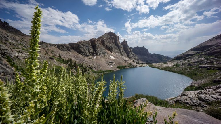 Discover Endless Outdoor Adventures in One of Nevada's Hidden Gem State Parks