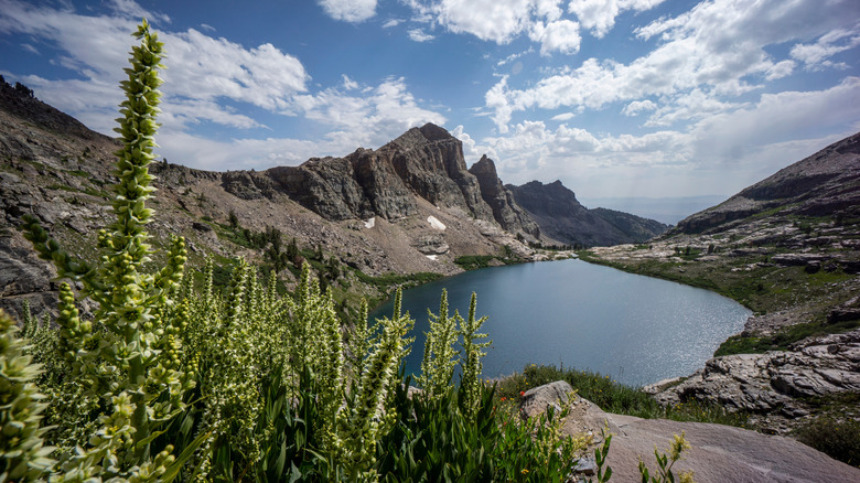 Discover Endless Outdoor Adventures in One of Nevada's Hidden Gem State Parks