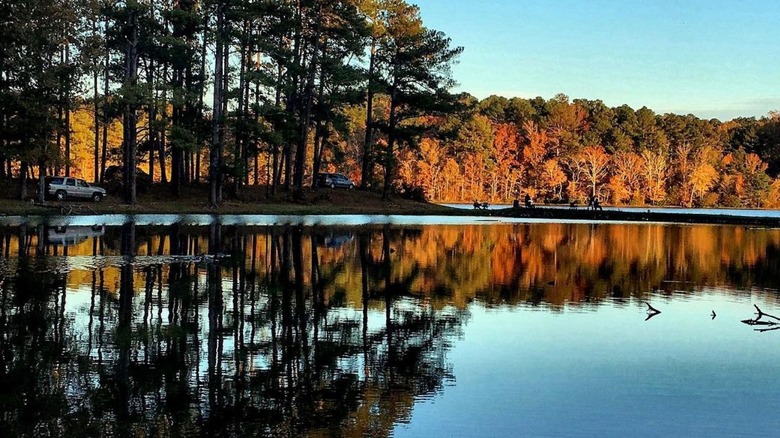Alabama's Most Tranquil Lakeside City Boasts Sparkling Waters, Scenic Wooded Trails, and Delicious Pizza