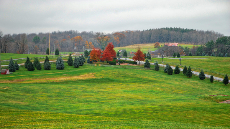 Experience Luxurious Camping at the Historic Woodstock Festival Site
