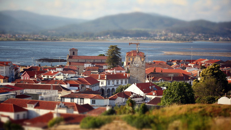 Discover Portugal's Hidden Gem: A Perfect Retirement Town Nestled Between Mountains and Ocean Beaches