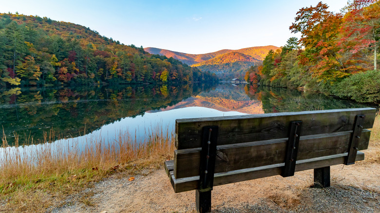 One of Georgia's Oldest and Most Esteemed State Parks Offers a Family-Friendly Camping Getaway with Numerous Trails