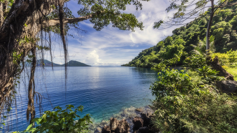 Explore the Rich Culture and Diverse Languages of This Tropical Island, Home to More Native Tongues Than All of Europe