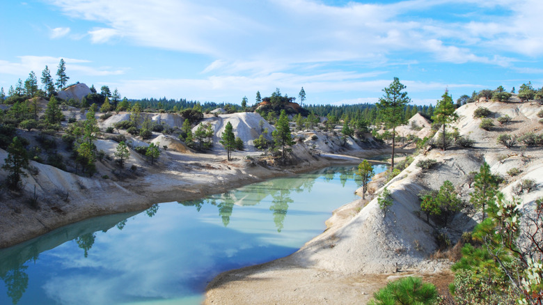 Discover the Hidden Gem of California: A Quirky Gold Rush Town Perfect for an Underrated Camping Escape