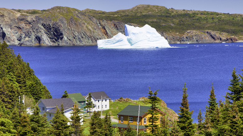 Tourists Rush to Canada's Coastal Iceberg Haven for Breathtaking Views