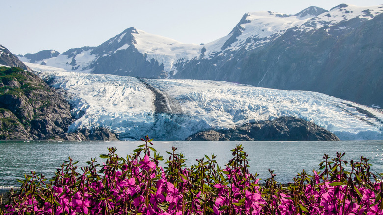 Explore Stunning Alaskan Trails and Icy Adventures at One of Anchorage's Most Accessible Glacier Areas