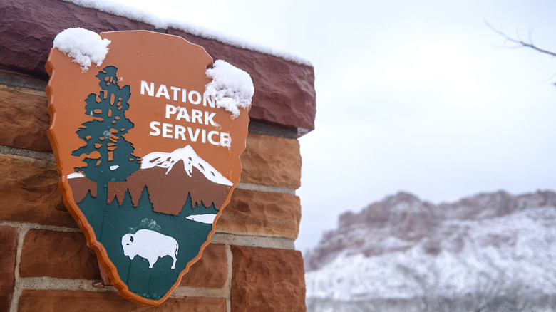 Understanding the Term 'Sleeper' National Parks: Insights from Park Rangers and Visitors