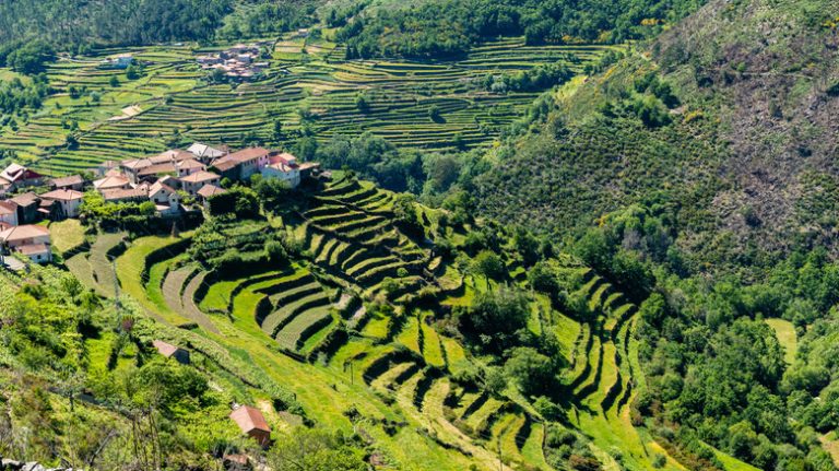 Portugal's Tranquil Village Boasts Terraced Hillsides, Scenic River Trails, and a Remote Ambiance