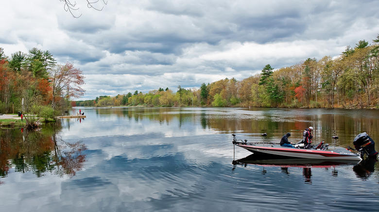 Discover a Charming Island Park with Tranquil Trails in the Heart of a New Hampshire City