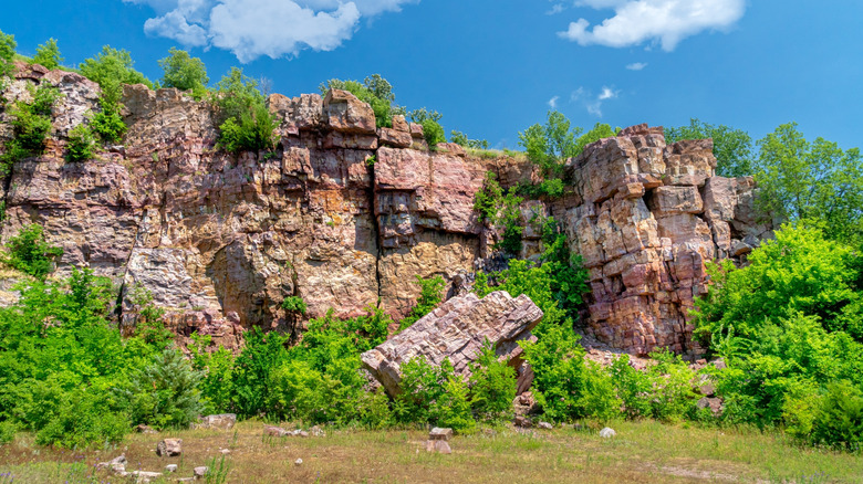 Discover Minnesota's Hidden Gem: A State Park with Expansive Prairies and Majestic Bison Herds, Perfect for Tranquil Hikes and Picnics