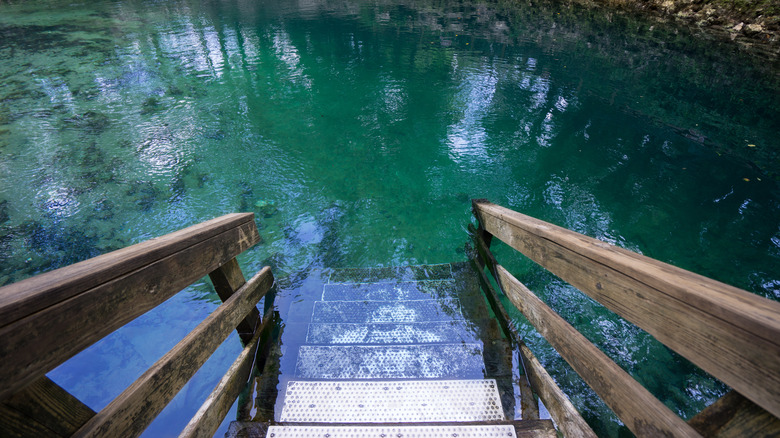 This Florida Swimming Hole Ranks Among the Best for Water Adventures