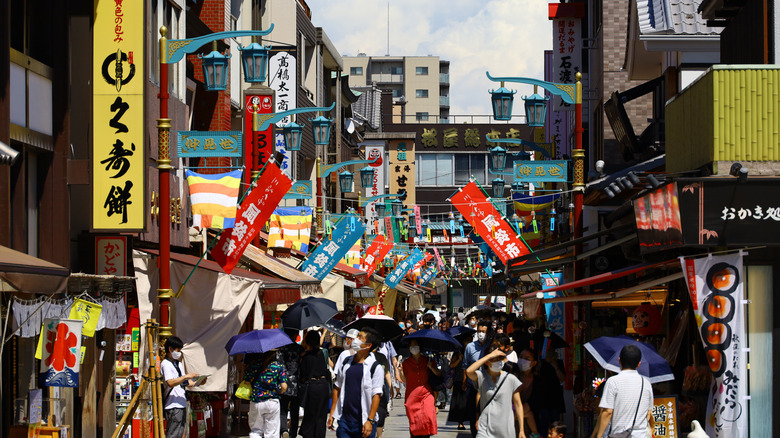 Nestled Between Tokyo and Yokohama: A Vibrant City Blending Industry and Lush Scenery